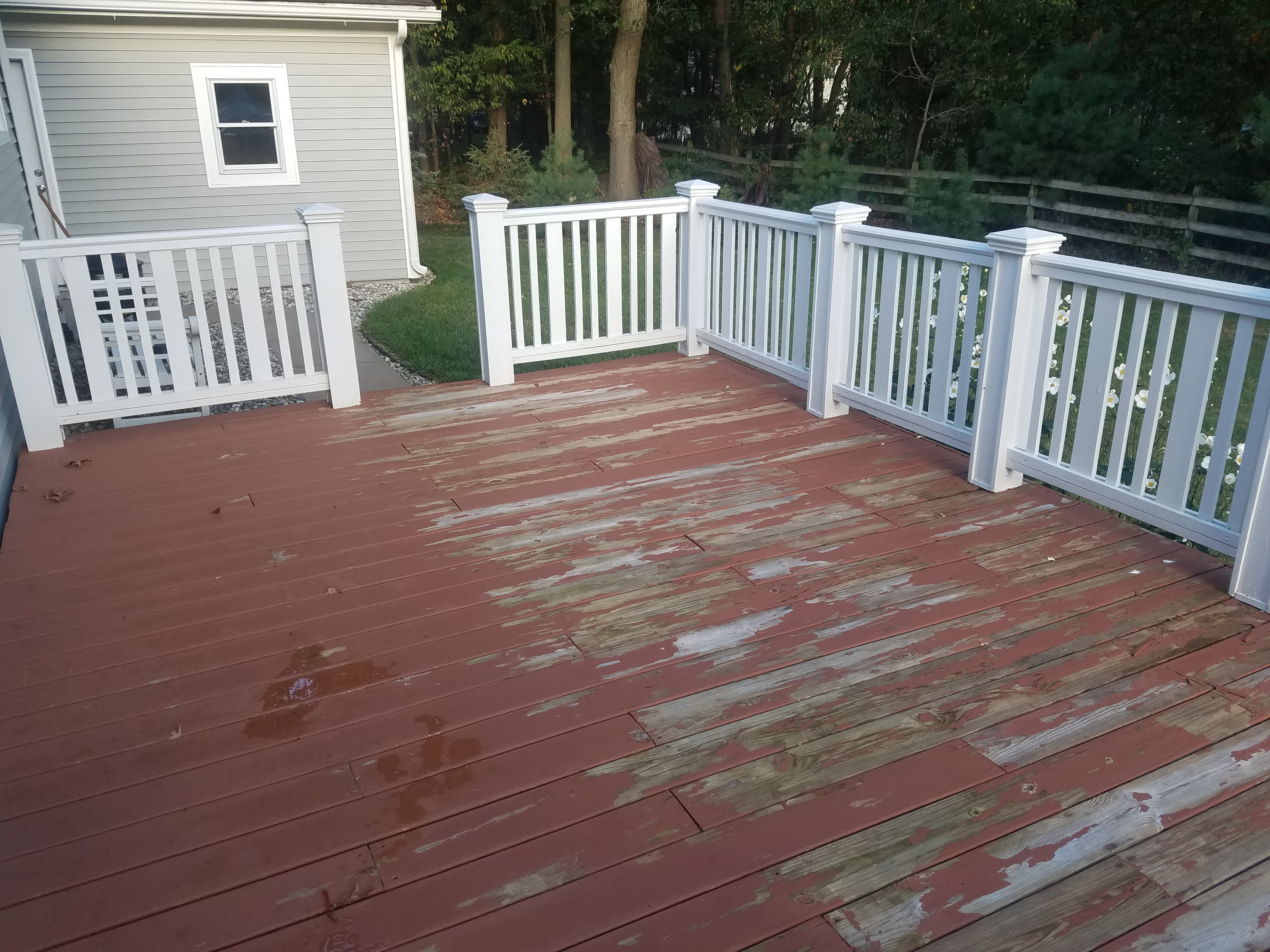 Behr Deckover Olympic Rescue It Rust Oleum Deck Restore Do They in proportions 4032 X 3024