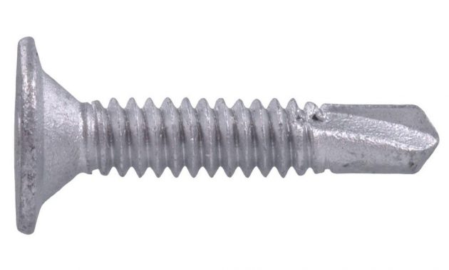 Everbilt 10 1 12 In Phillips Wafer Head Self Drilling Screw 1 Lb with regard to size 1000 X 1000