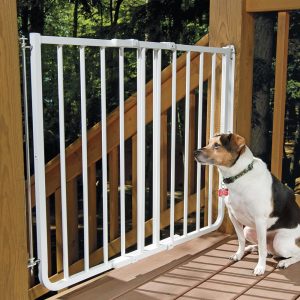 Pet Gates Stairway Special Outdoor Wall Mounting Gate At Drs pertaining to dimensions 1000 X 1000