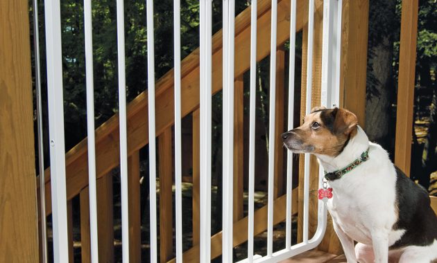 Pet Gates Stairway Special Outdoor Wall Mounting Gate At Drs pertaining to dimensions 1000 X 1000