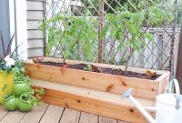 Planting For Privacy Diy Wood Planter Just Decorate pertaining to dimensions 1600 X 1200