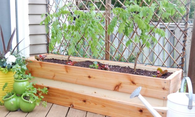 Planting For Privacy Diy Wood Planter Just Decorate pertaining to dimensions 1600 X 1200